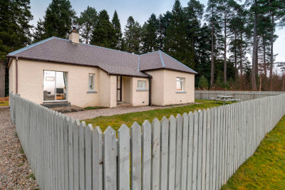 Pinewood, Ardverikie