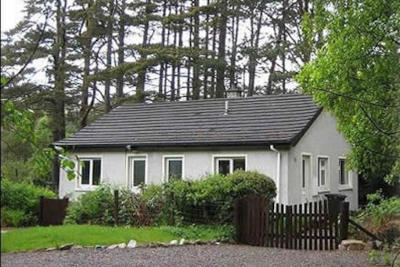The Pines, Kinlochewe