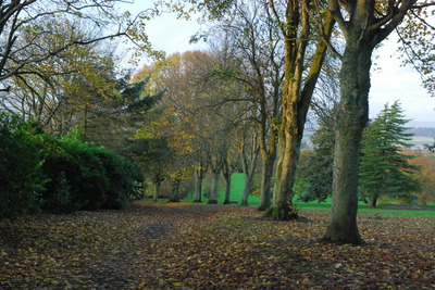 Walk photo