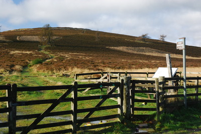Walk photo