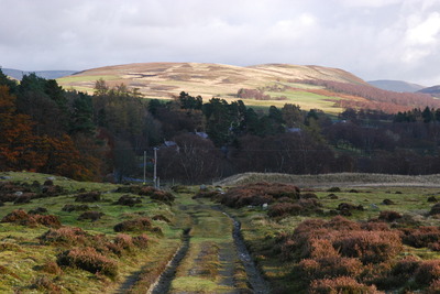 Walk photo