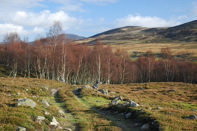 Walk photo