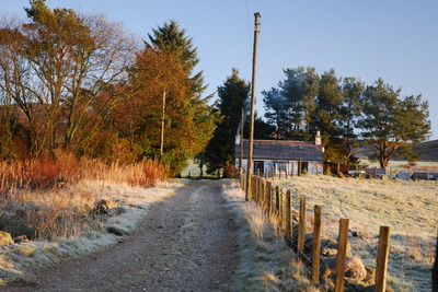 Walk photo