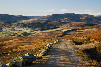 Walk photo