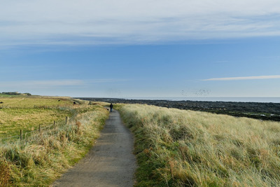 Walk photo