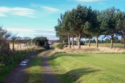 Walk photo