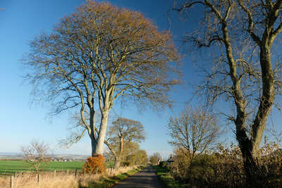 Walk photo
