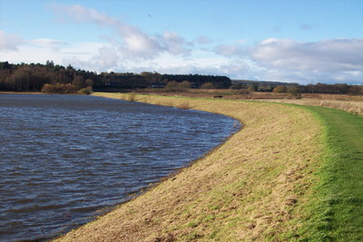 Walk photo