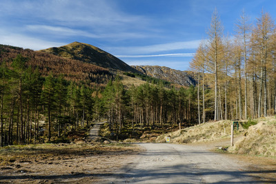 Walk photo