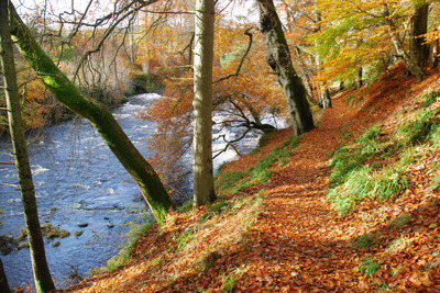 Walk photo