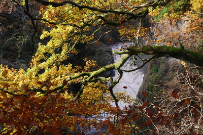 Walk photo