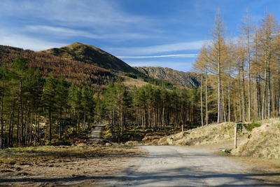 Walk photo