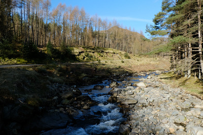 Walk photo