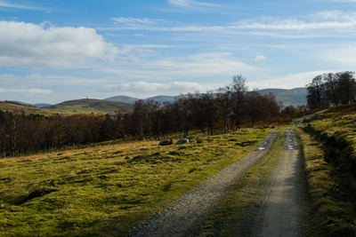 Walk photo
