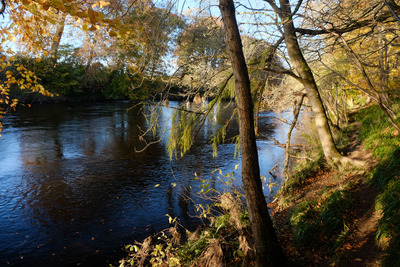 Walk photo