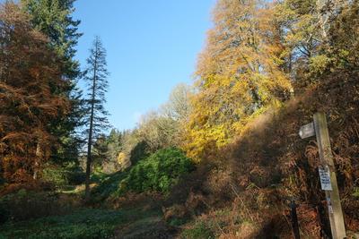Walk photo