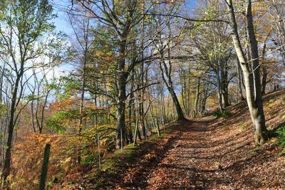 Walk photo