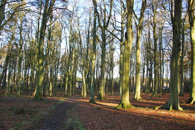 Walk photo