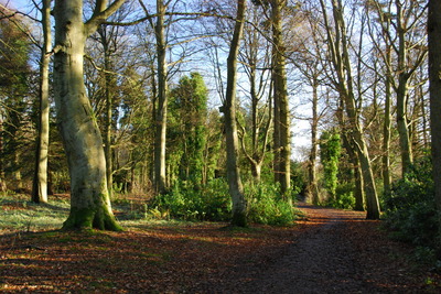 Walk photo