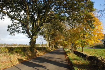 Walk photo