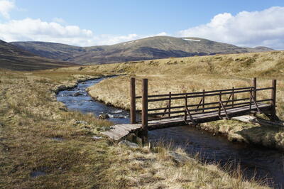 Walk photo