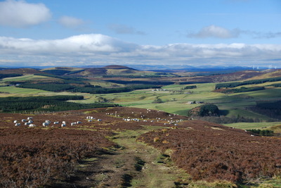 Walk photo