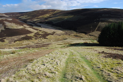 Walk photo