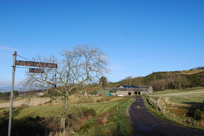 Walk photo