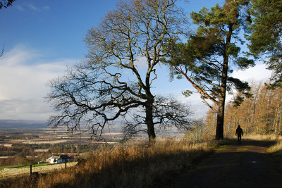Walk photo