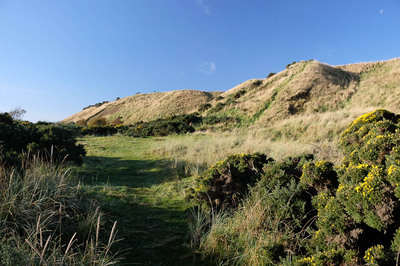 Walk photo