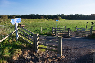 Walk photo
