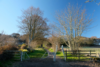 Walk photo