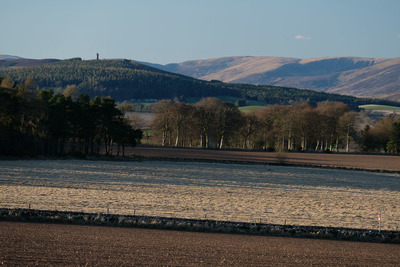 Walk photo