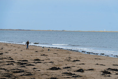 Walk photo