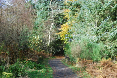 Walk photo