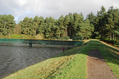 Walk photo
