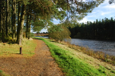 Walk photo