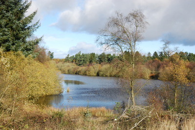 Walk photo