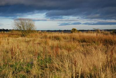Walk photo