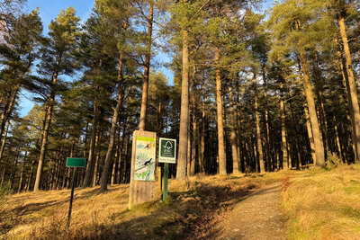 Walk photo