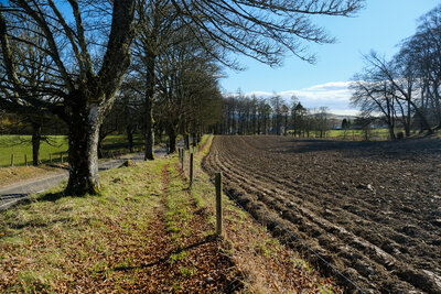Walk photo