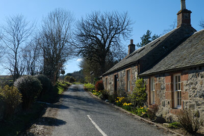 Walk photo