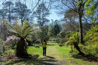 Walk photo