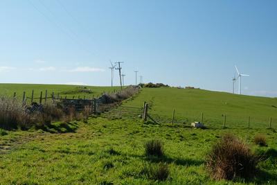 Walk photo