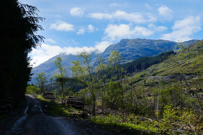 Walk photo