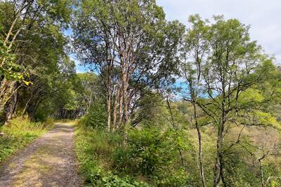 Walk photo