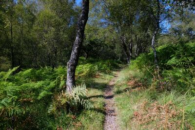 Walk photo