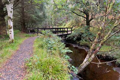 Walk photo
