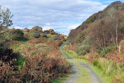 Walk photo