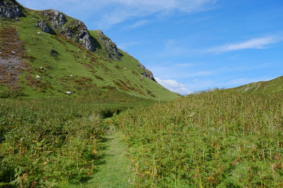 Walk photo